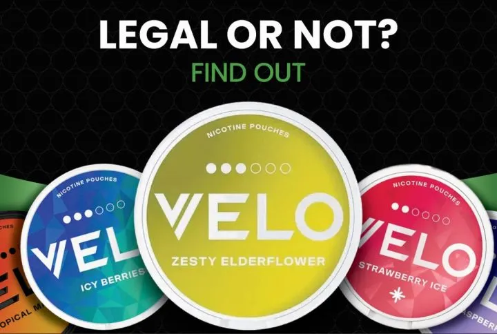 Are Nicotine Pouches Legal In The Uae? Here’s What You Need To Know