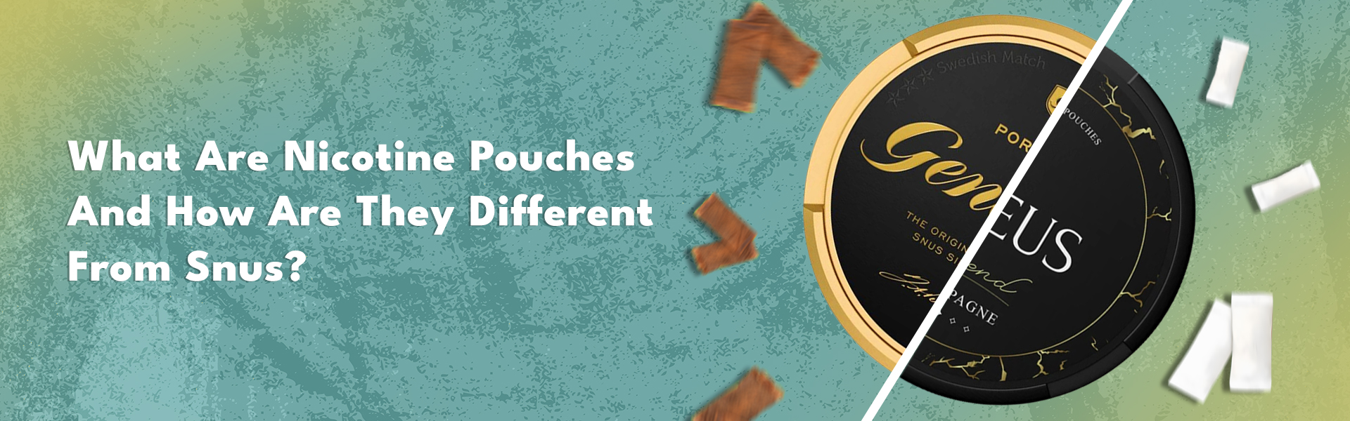 What Are Nicotine Pouches And How Are They Different From Snus?