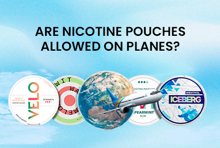 Are Nicotine Pouches Allowed On Planes?