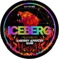 CEBERG Cherry Apricot Gum