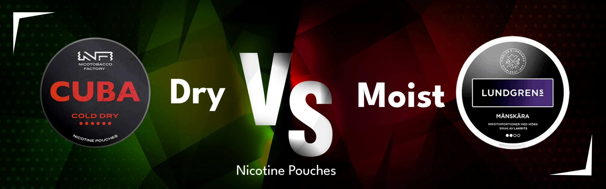 Dry Vs Moist Nicotine Pouches: What’s The Difference?