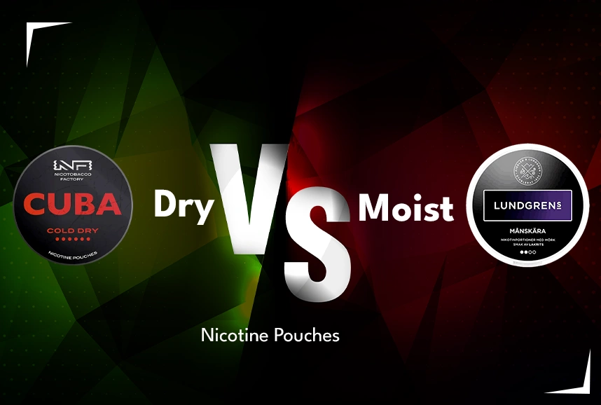 Dry vs Moist Nicotine Pouches Whats the Difference Fea