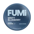 Minty Blueberry Strong 8mg