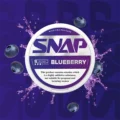 SnapBlueberryNicotinePouches6mg 1