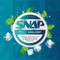 SnapCoolMintNicotinePouches20mg 1