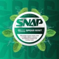 SnapSpearmintNicotinePouches20mg 1