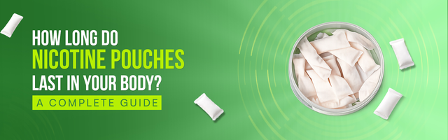 How Long Do Nicotine Pouches Last In Your Body? A Complete Guide